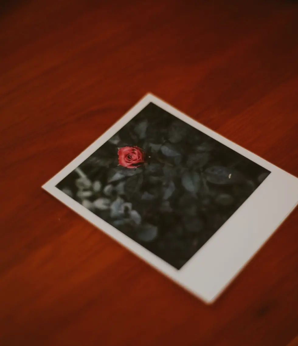 One Long Essay or a Short Series of Frames: Choosing the Shape